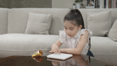 持胜方和错误提醒