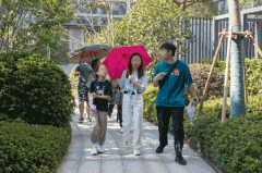 这意味着项目从规划、设想